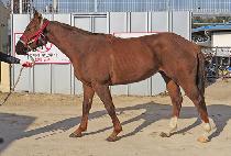 SANGIM GWACHEON picture