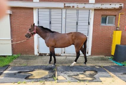 ���������� ����