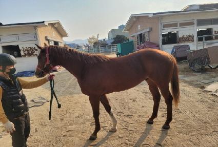 �����Ѽ��� ����