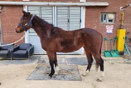 ����Ǯ���� ����