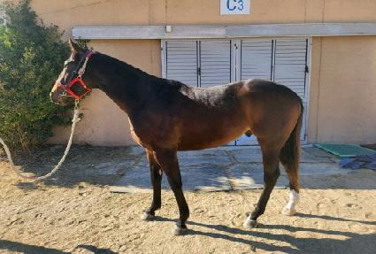 ȸ���α� ����