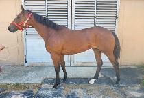 �帲ĳġ (DREAM CATCH) ����