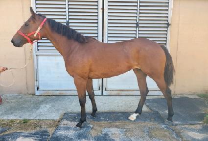 �帲ĳġ ����