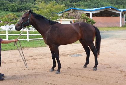 ����ũ�� ����