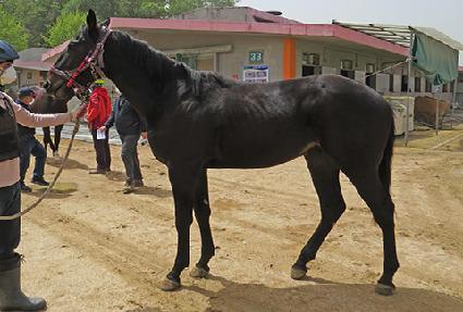 �������� ����