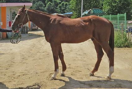 Ƽ������ ����