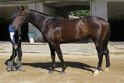 ��û�� ����