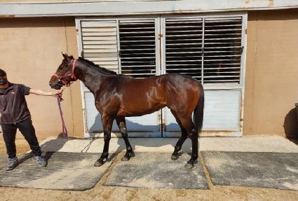 ��缱����Ʈ ����