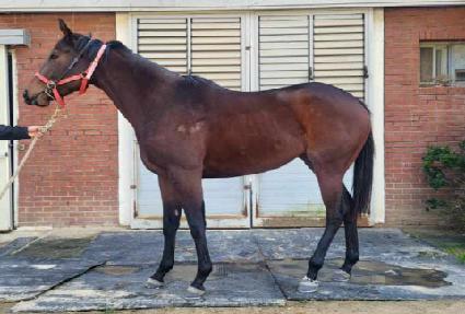 �ε��� ����