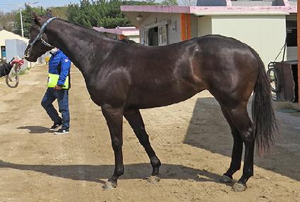 ���Ķ� ����