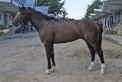 ������˸� ����