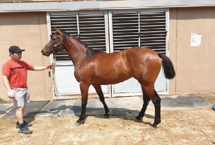 ������ ����