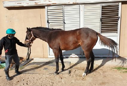 ������ ����