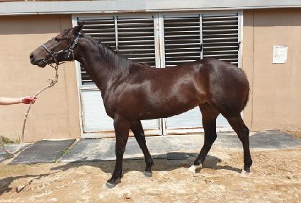 ������ ����