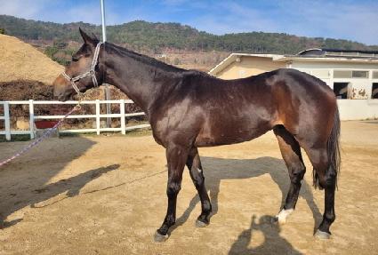 �����丣�þ� ����