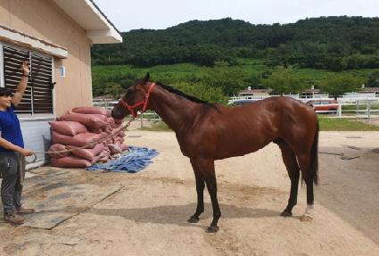 �ٺ��Ǵн� ����