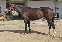 ȭ�����丮 (HWARANG STORY) ����