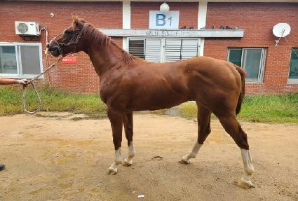 ���� ����