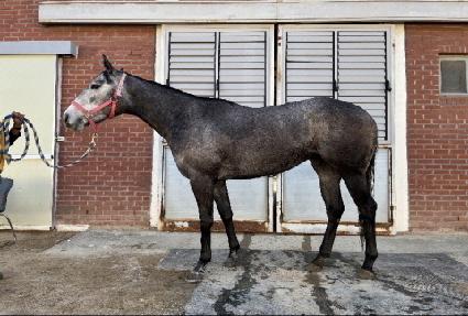 ��� ����