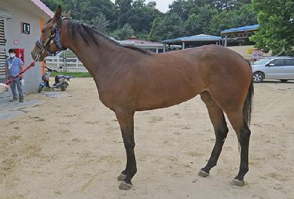 ���Ķ� ����