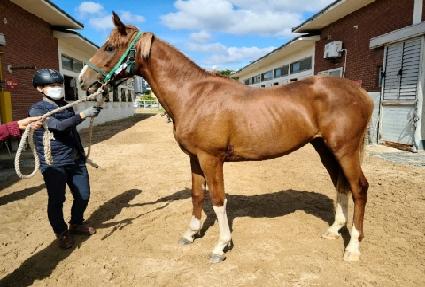 �ݾƴԺ� ����