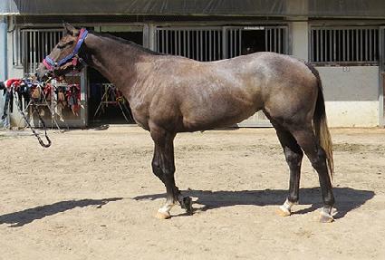 ��´���� ����