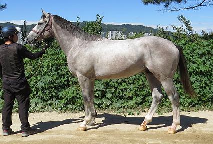 �̱�����Ʈ ����