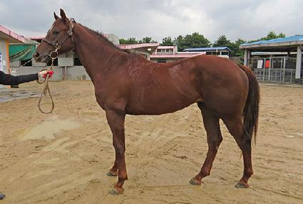 �Ŀ��ڽ� ����