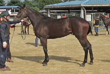 ��л��� ����