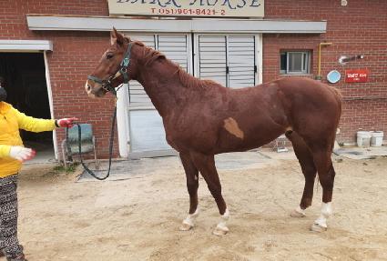 �����ε� ����