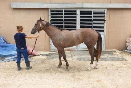 �����÷��� ����