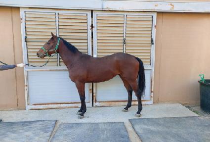 ���ֿ��� ����