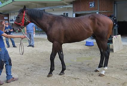 ������ĭ ����