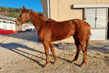 �Ŀ������� ����