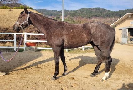 ���ļ۴� ����