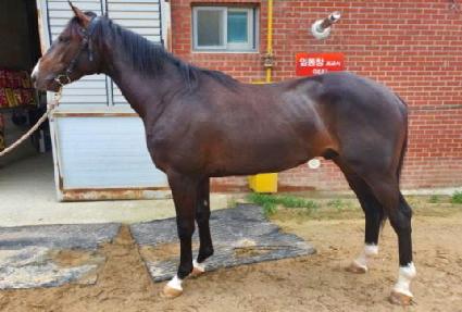 �۷ι��ְ� ����