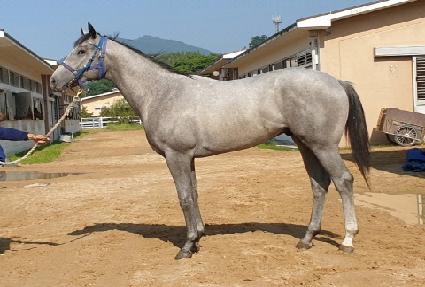 �������� ����