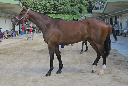 ������ ����