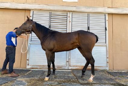 ű�ص巯�� ����