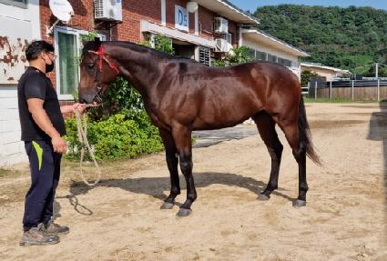 �׷��弱 ����