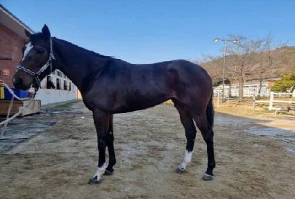 ����Ƽ�� ����