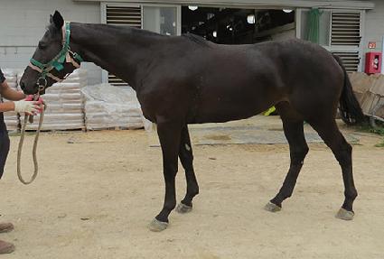 ������� ����