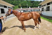 ��´����� (RAON THE GUTSEN) ����