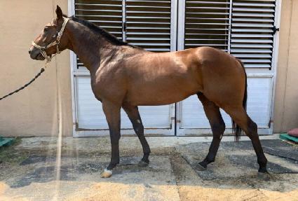 ������� ����