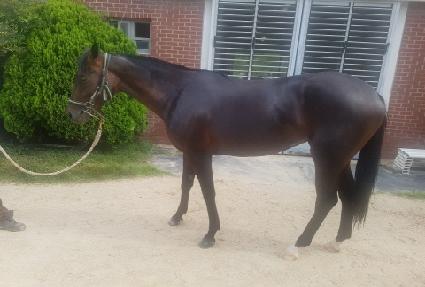 ����Ʈ���� ����