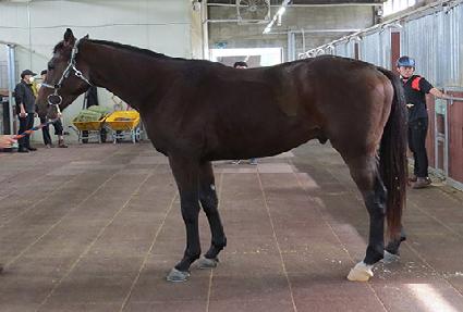 �ݼ��ְ� ����