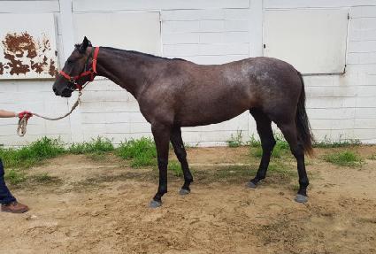 �м������� ����