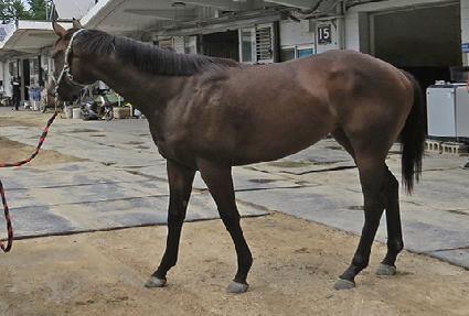 õ���� ����