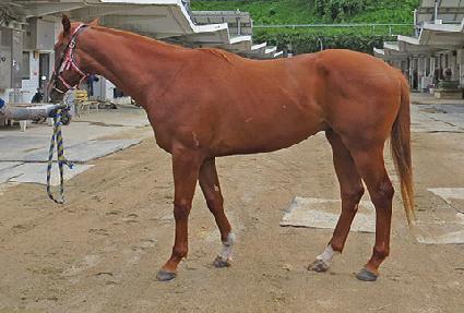 �����̽� ����