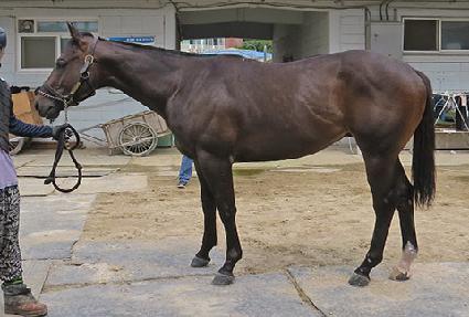 �߹��������� ����